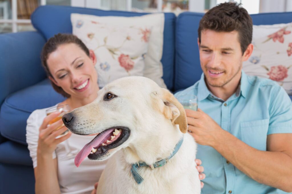 Loving relaxed young couple with wine glasses and pet dog sitting in living room at home