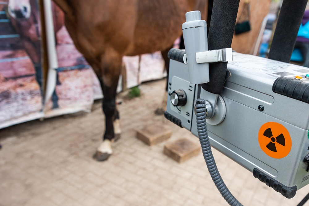 OFA radiograph imaging for horses in Pierz, MN Portable digital radiography unit positioned near a horse's hind legs for equine X-ray imaging