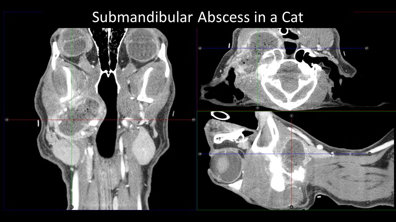 slide13