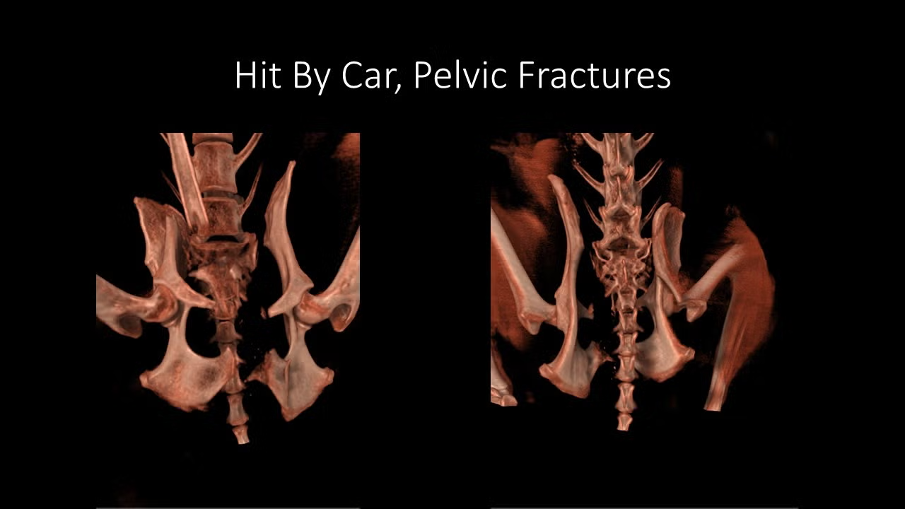 slide15
