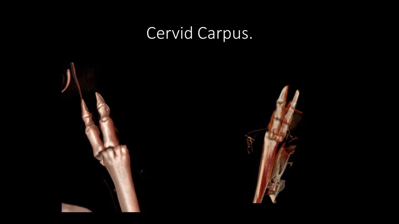 slide16