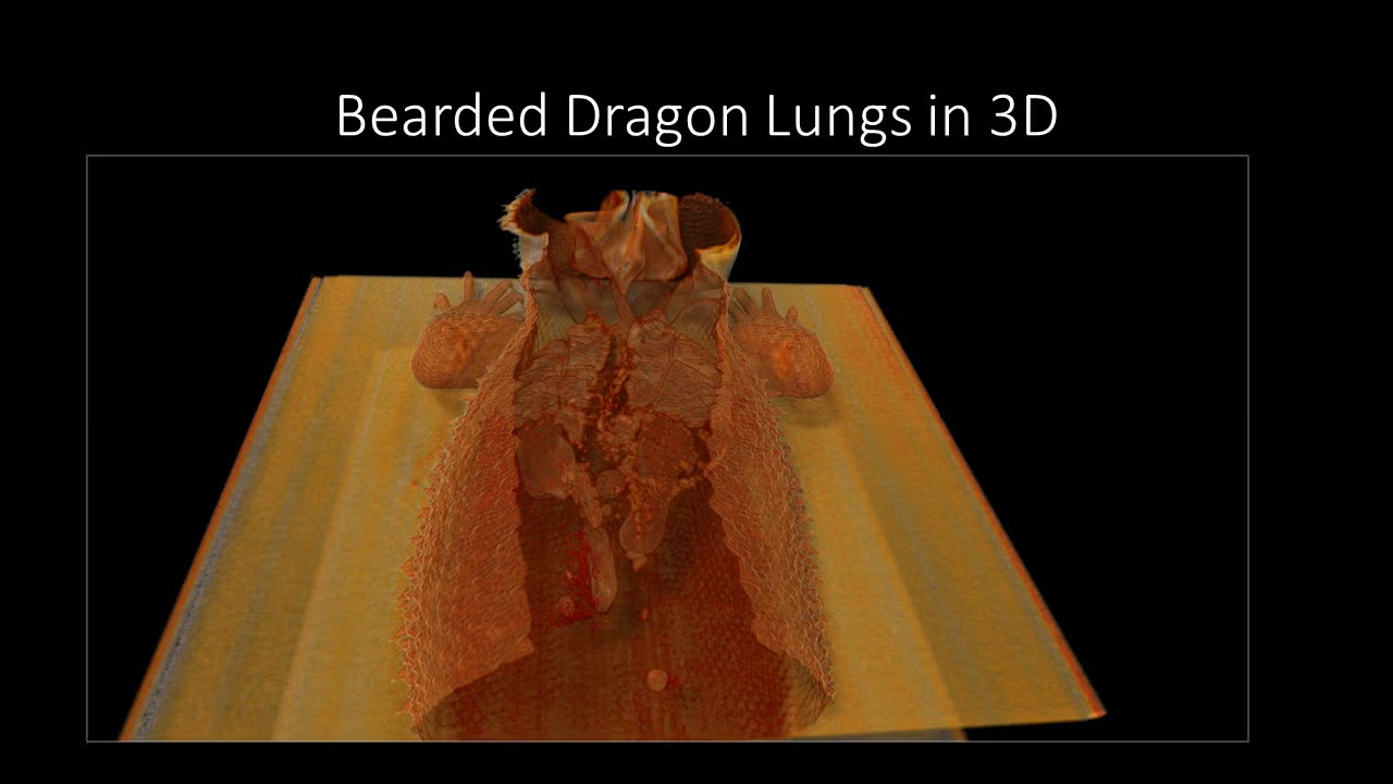 slide18