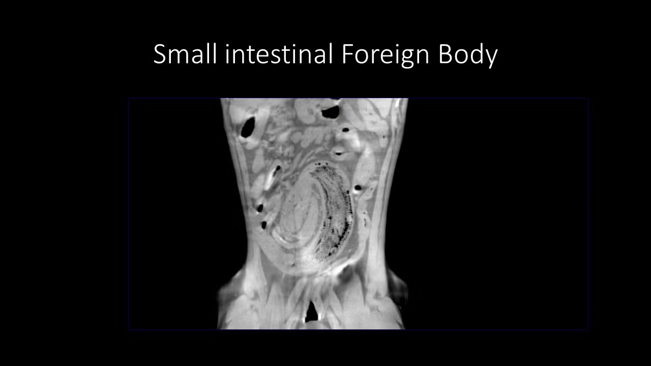 slide21