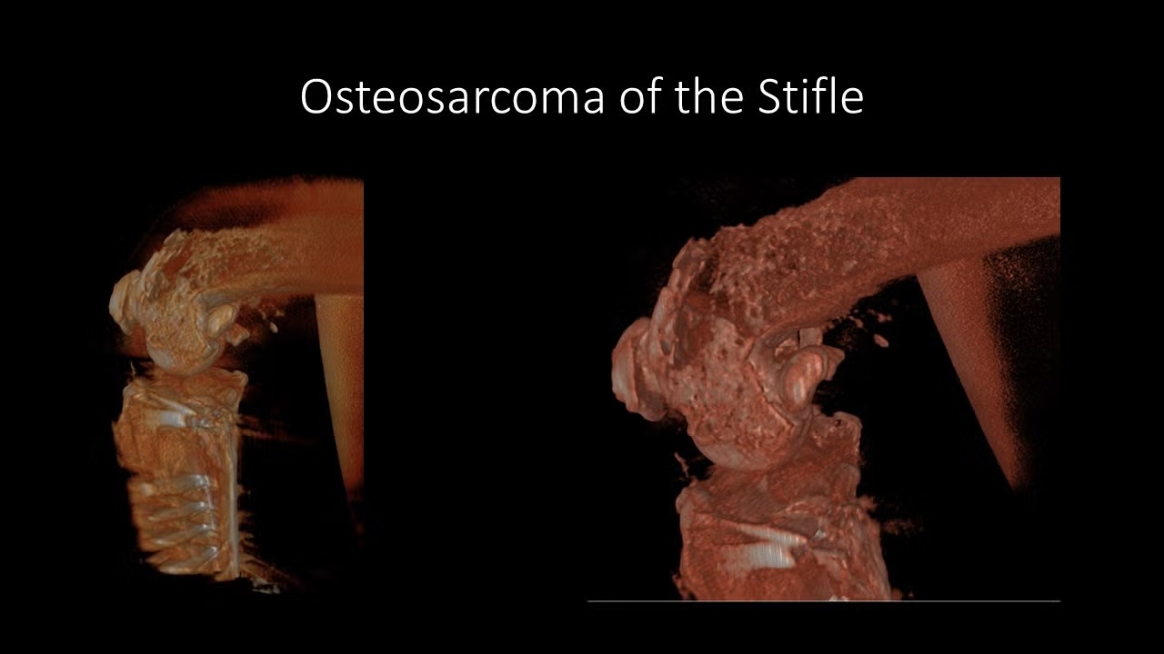 slide23