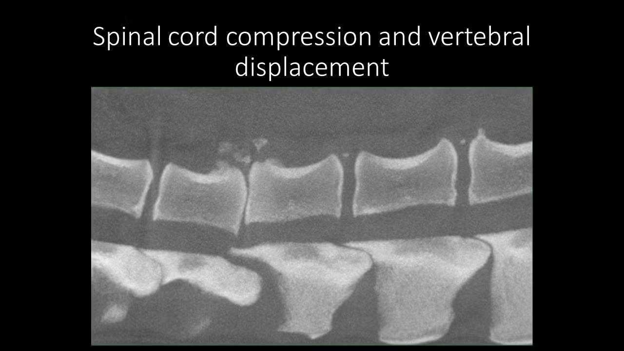 slide8