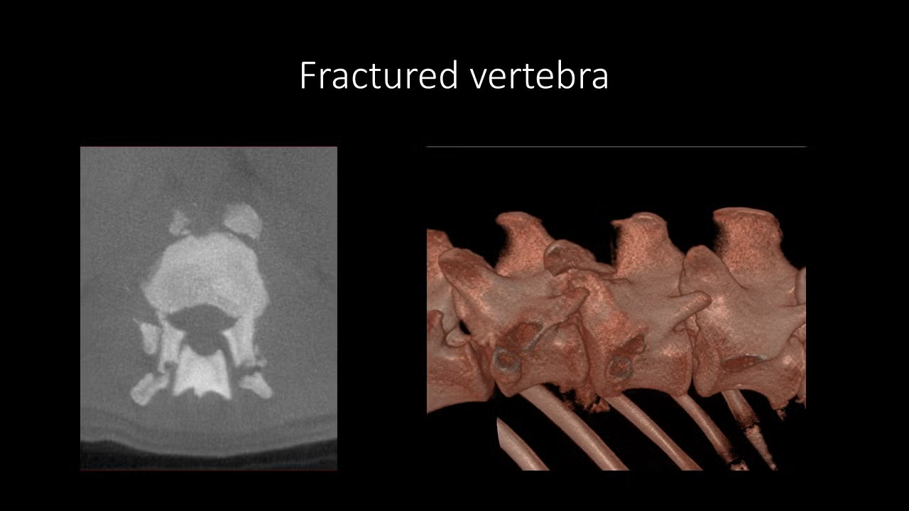 slide9